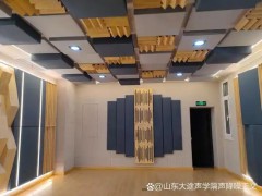 智慧声学监测系统专题展第11站